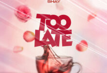 Wendy Shay - Too Late MP3 Download